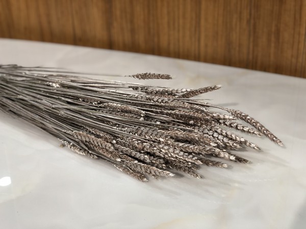 Trockenblume Weizen XL Bund Champagne gefärbt