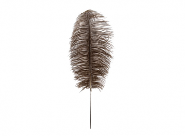 Straußenfeder 35cm braun länge 63cm