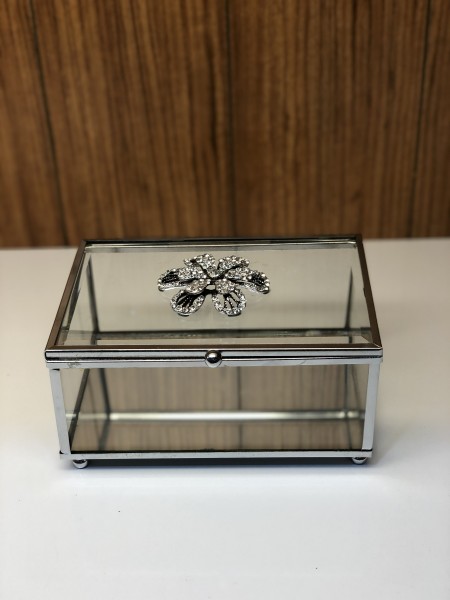 Glasbox 15x10x 8 cm Aufbewahrungsbox Silber Strass